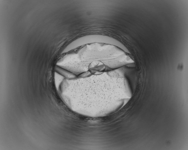 X0000113200560200910081255