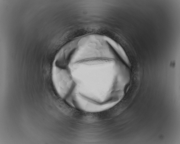 X0000113200561200910081255