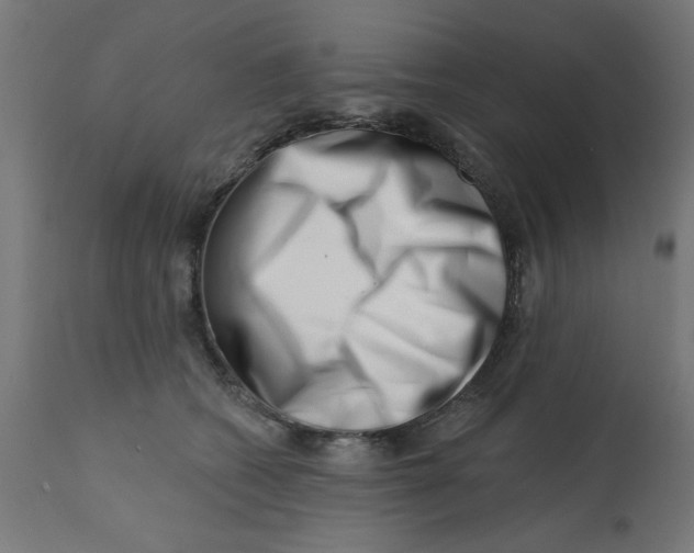 X0000113200562200910081255