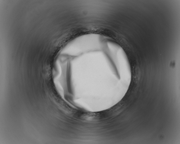 X0000113200563200910081255
