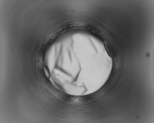 X0000113200564200910081255