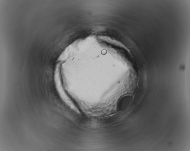 X0000113200565200910081255