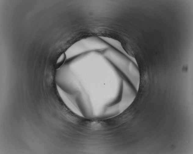 X0000113200566200910081255