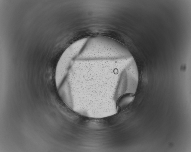 X0000113200567200910081255