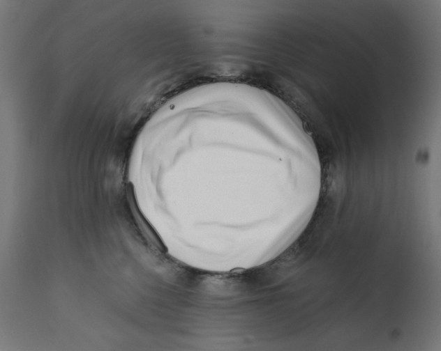 X0000113200568200910081255