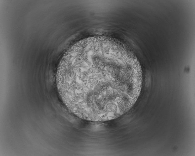 X0000113200569200910081255