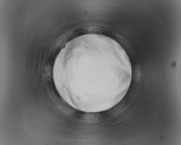 X0000113200571200910081255