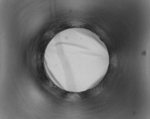 X0000113200572200910081255