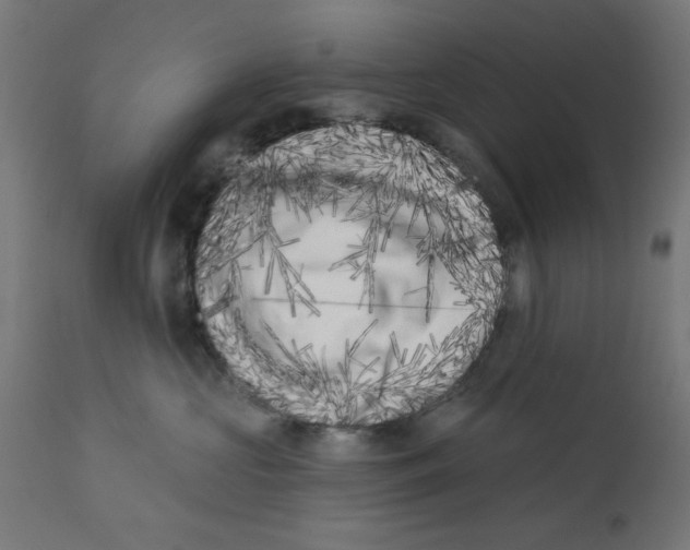 X0000113200573200910081255