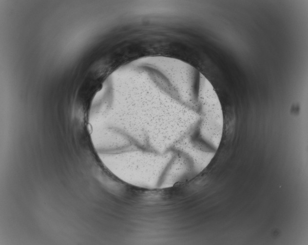 X0000113200574200910081255