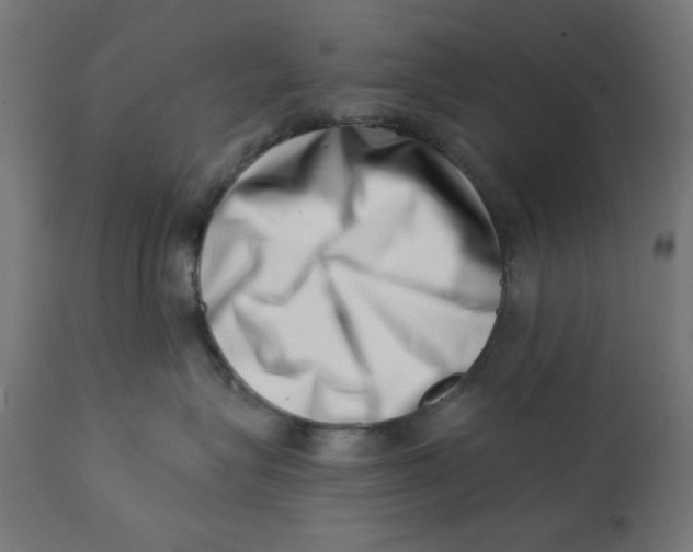 X0000113200575200910081255