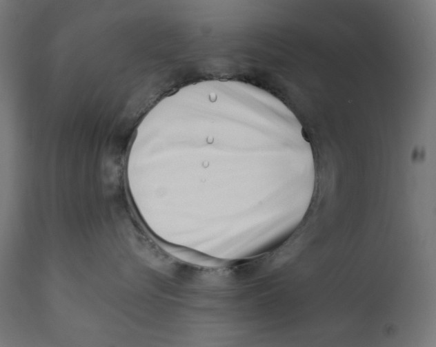 X0000113200576200910081255