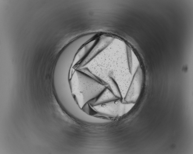 X0000113200577200910081254