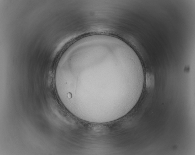 X0000113200579200910081254