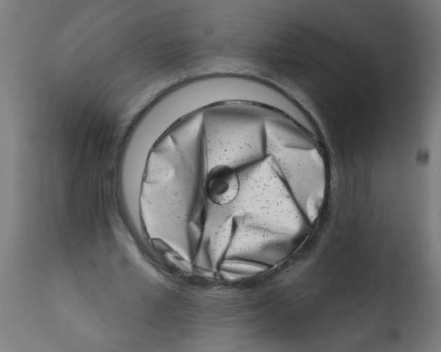 X0000113200581200910081254