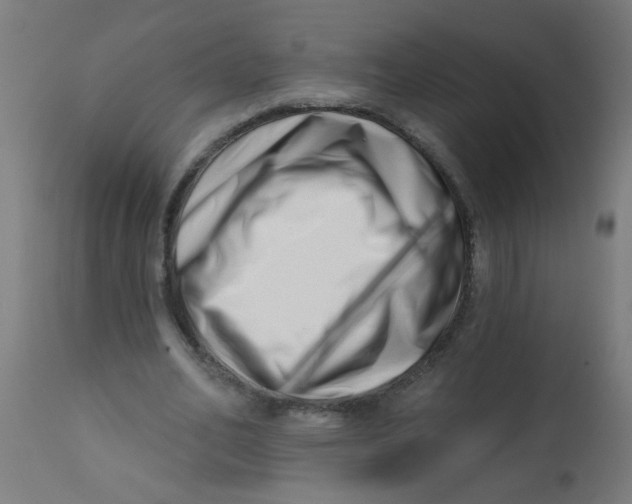 X0000113200582200910081254