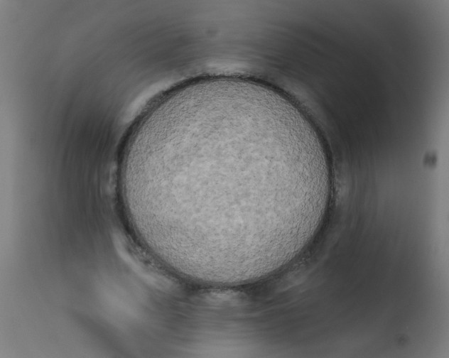 X0000113200583200910081254