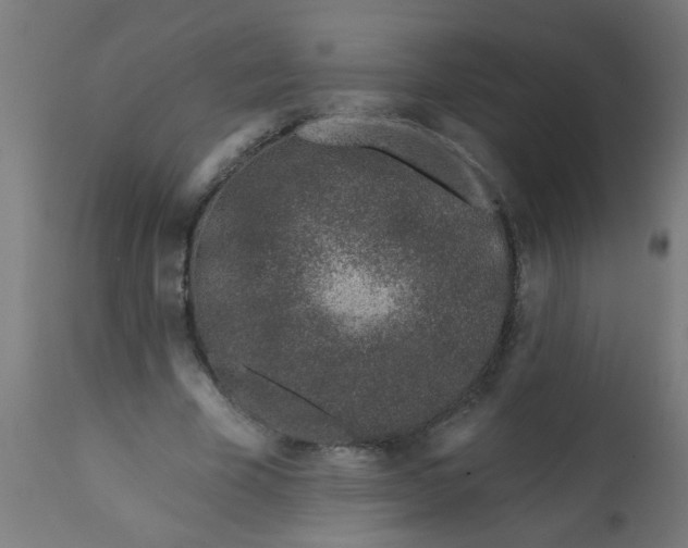 X0000113200585200910081254