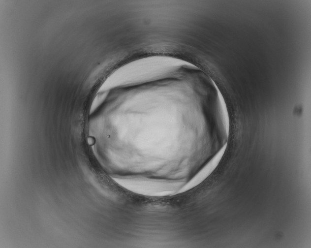 X0000113200586200910081254