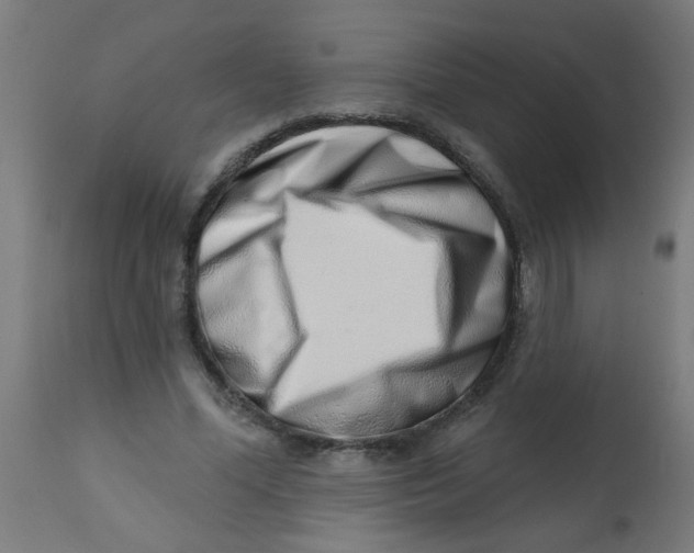 X0000113200588200910081254