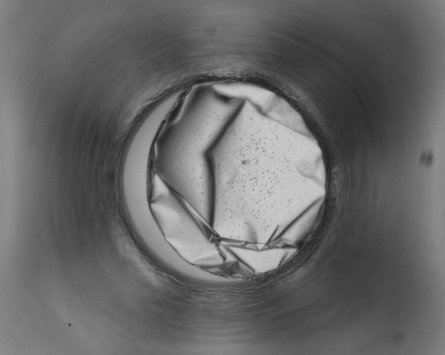 X0000113200589200910081254