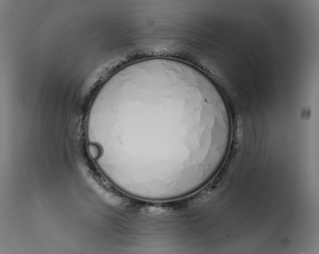 X0000113200590200910081254