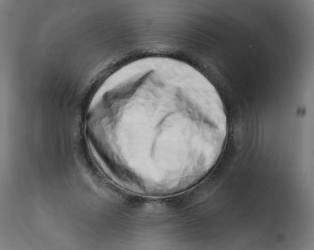X0000113200591200910081254