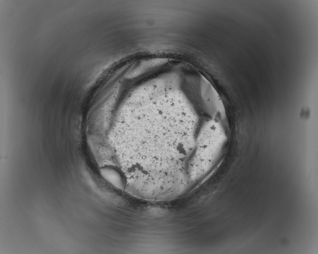 X0000113200592200910081254
