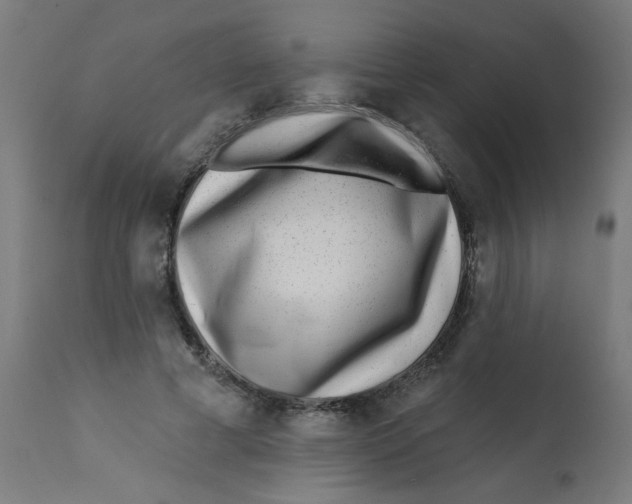 X0000113200593200910081254