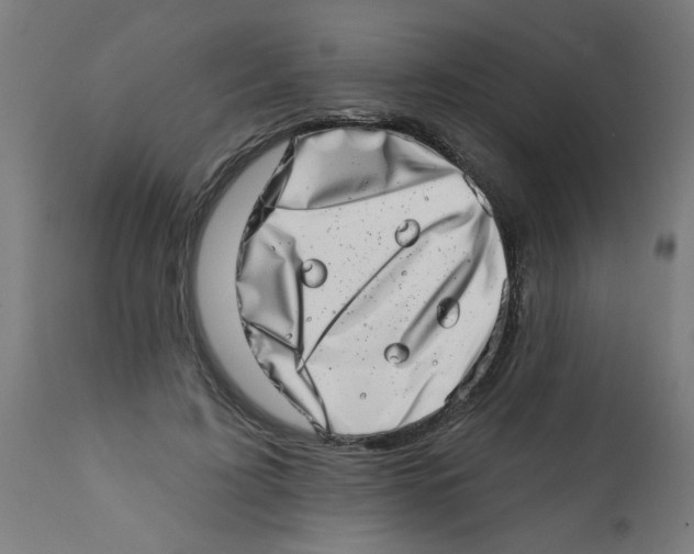 X0000113200595200910081254