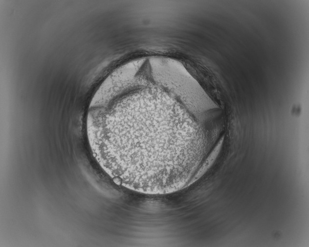 X0000113200596200910081254