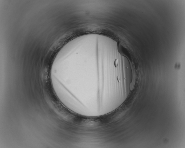 X0000113200597200910081254