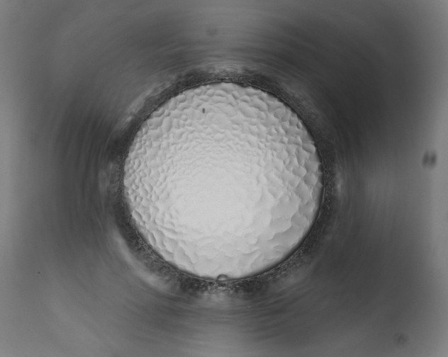 X0000113200598200910081254