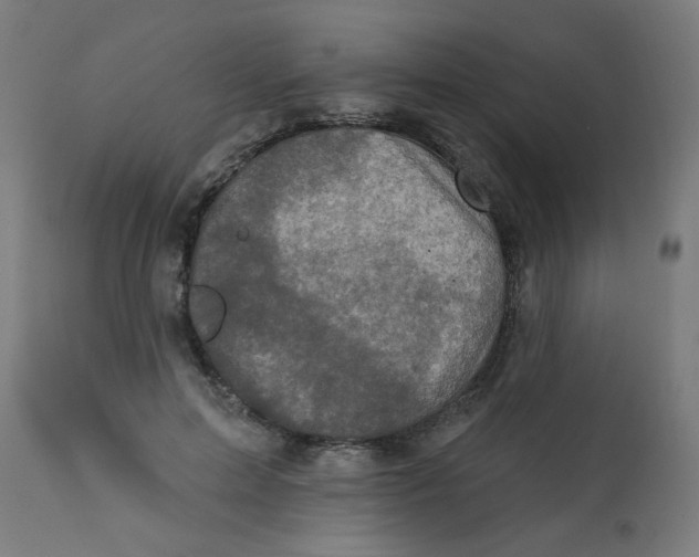 X0000113200599200910081254