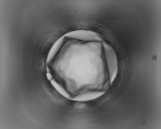 X0000113200602200910081253