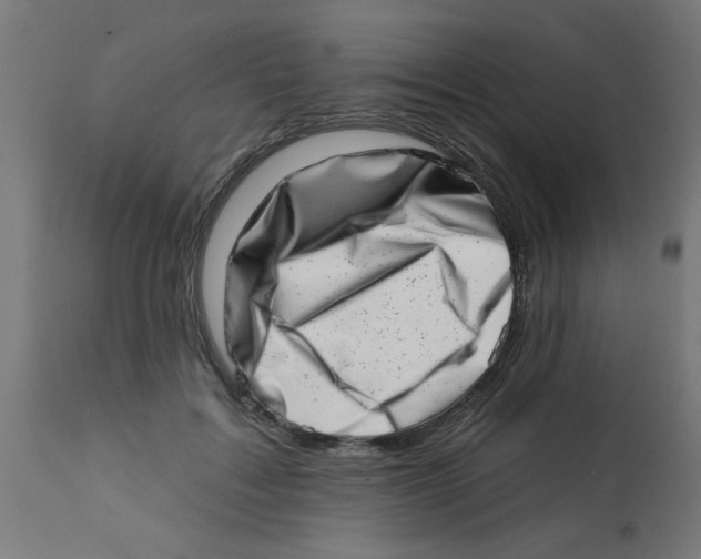 X0000113200603200910081253