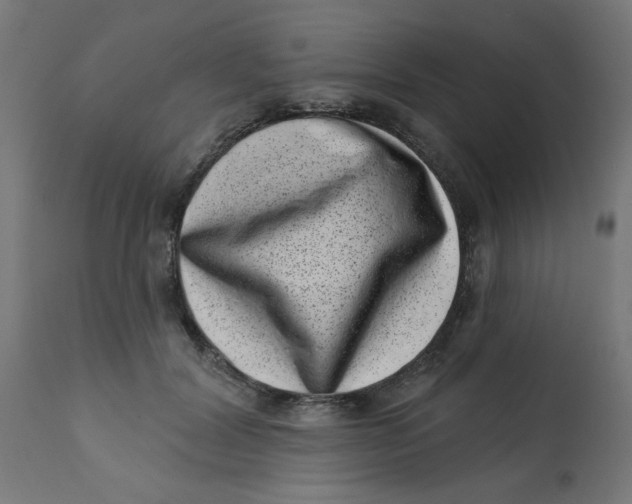 X0000113200604200910081253