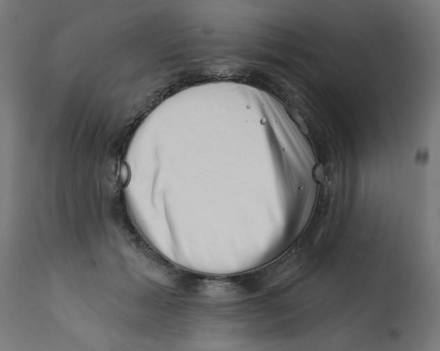 X0000113200605200910081253