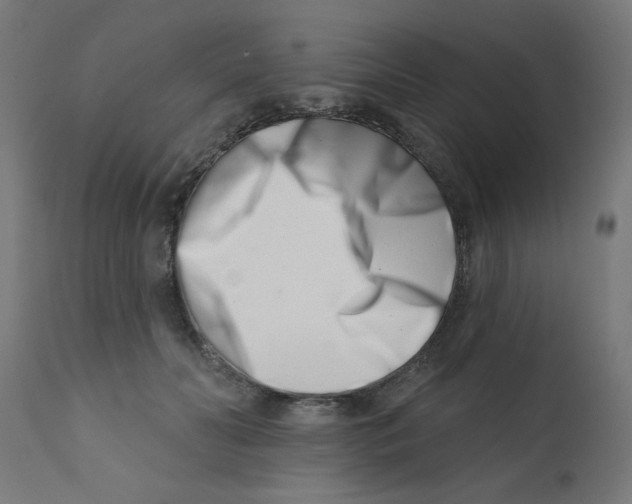 X0000113200606200910081253