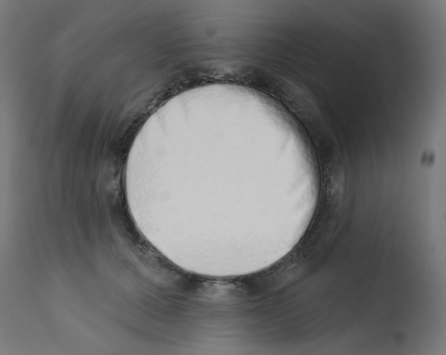 X0000113200607200910081253