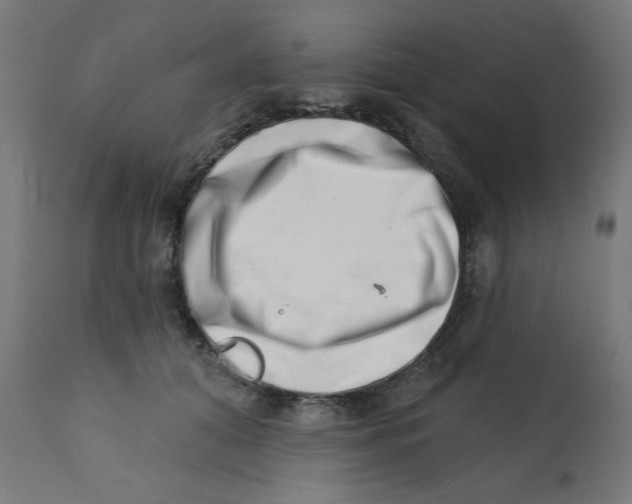 X0000113200608200910081253