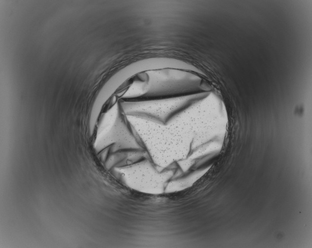 X0000113200609200910081253