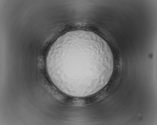 X0000113200610200910081253