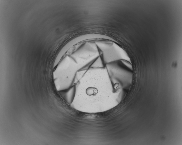 X0000113200611200910081253