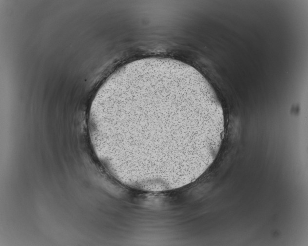 X0000113200612200910081253