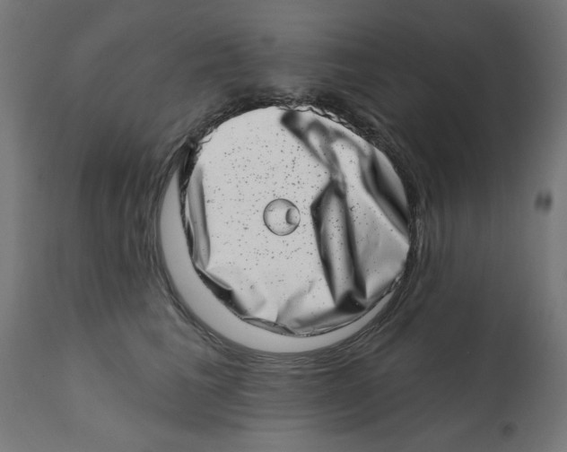 X0000113200613200910081253