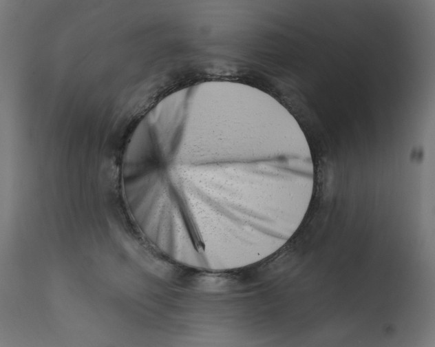 X0000113200614200910081253