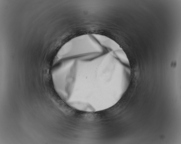 X0000113200615200910081253