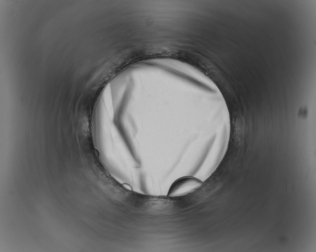 X0000113200617200910081253