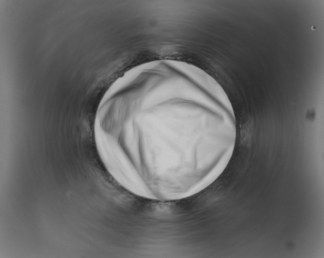 X0000113200618200910081253